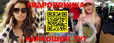 apvp Обнинск