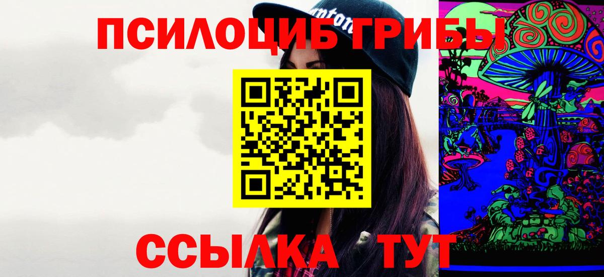 Славгород  где найти   Вход с VPN  Галлюциногенные грибы Cubensis 